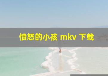 愤怒的小孩 mkv 下载